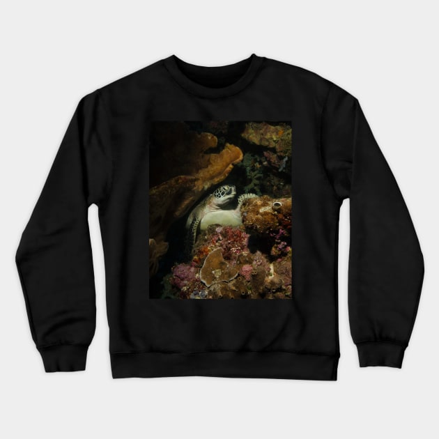 A Green Turtle Snoozes on the Reef Crewneck Sweatshirt by jbbarnes